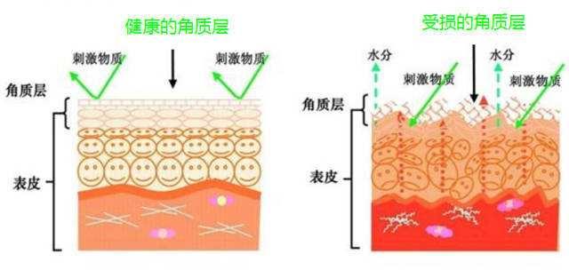 经常去角质变成敏感肌怎么办,怎么去除老化角质层