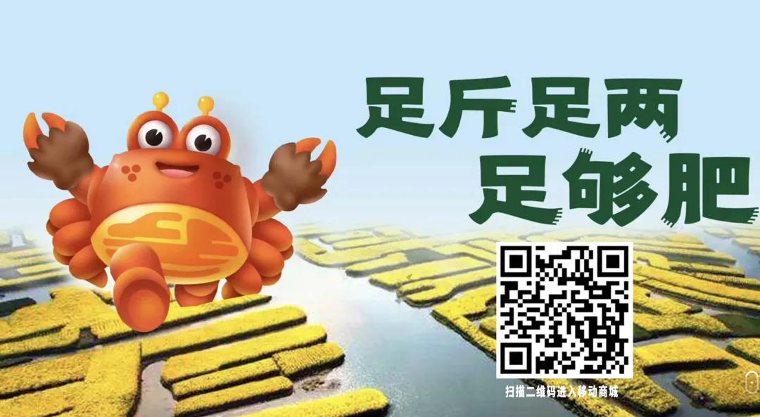 “兴化大闸蟹”冠名高铁正式启程,中企动力助力其绽放中国速度