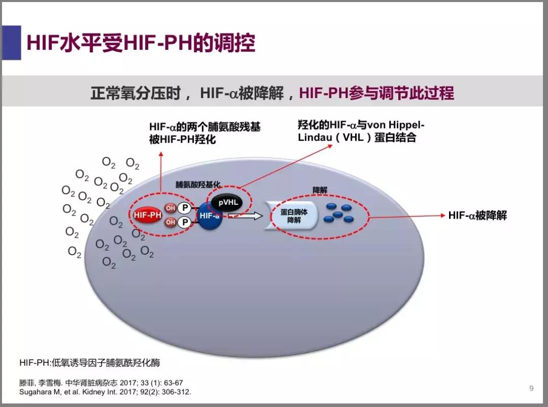 诺贝尔医学奖癌症免疫,诺贝尔医学奖肾病