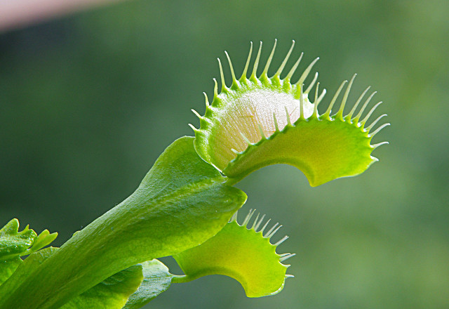 浠佺埍涓冨勾绾т笂鍐岃嫳璇璾nit2topic1,鑻辫浠佺埍涓冨勾绾т笂鍐寀nit2topic1