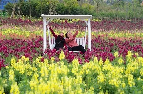 燃!2019“中国杯”又来南宁了,在家门口就可以看国际巨星踢球