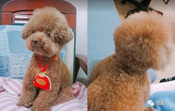 67岁耳朵嗡嗡响是什么原因,57岁耳朵嗡嗡响是怎么啦