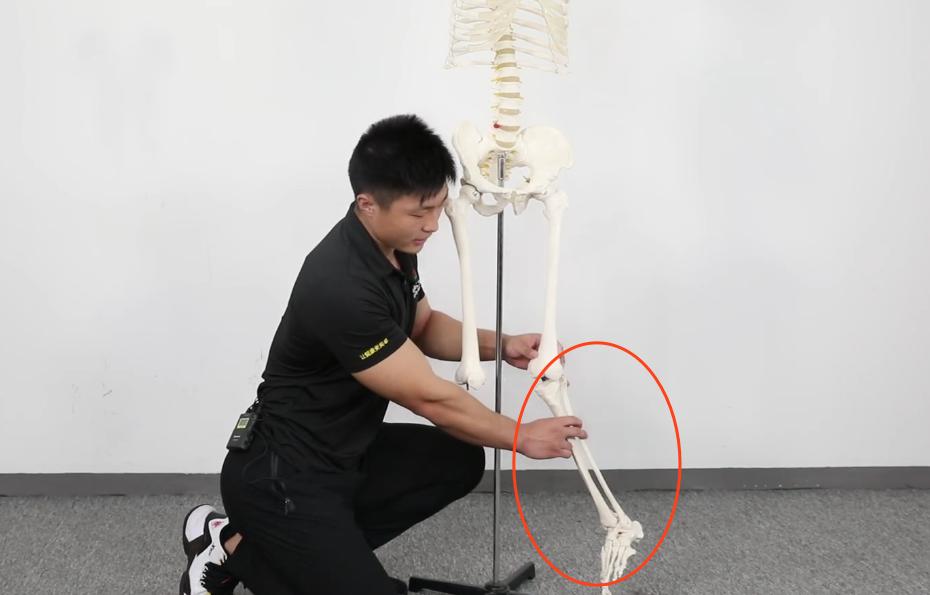 躺在床上矫正小腿外翻,小腿外翻如何矫正和站立