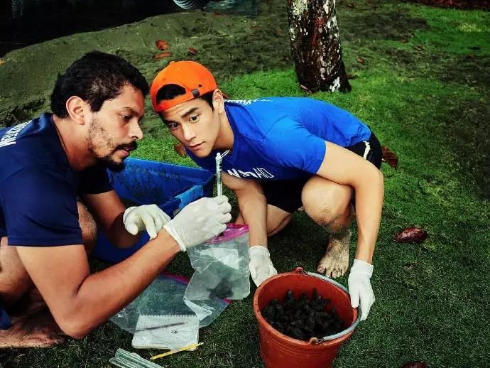 西尔莎罗南获金球奖,文娱有料