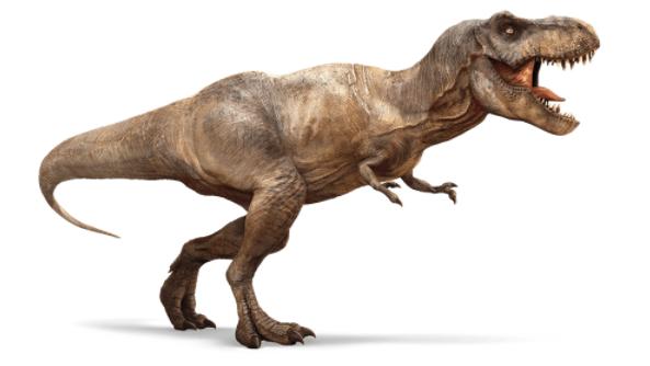 十大肉食性恐龙怎么画,肉食性恐龙视频