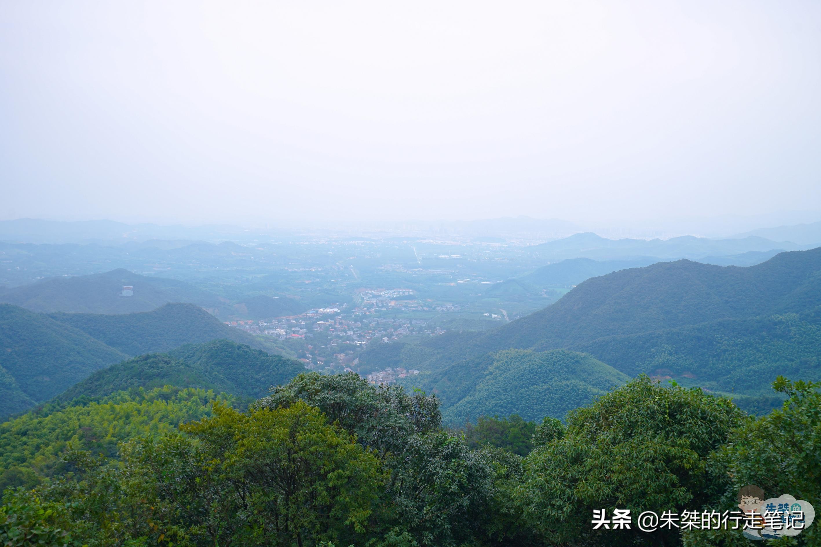 莫干山避暑旅游景点推荐,春光无限好赏花正当时