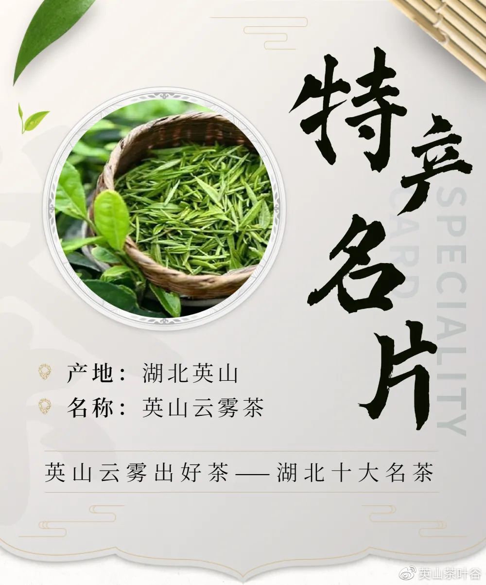 喝杯英山云雾茶静静，等等还未追上的灵魂