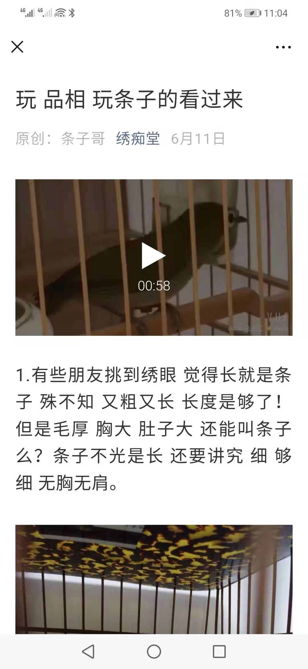 养鸟的经验作文结尾句子,养鸟的记忆