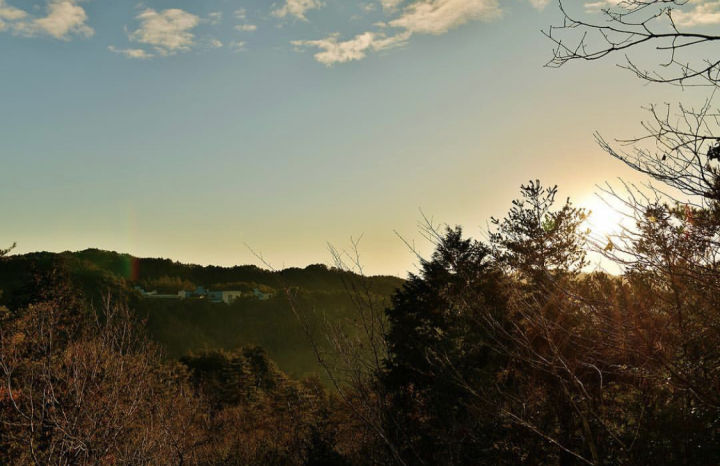和大家一样去了大阪，但我不想随波逐流