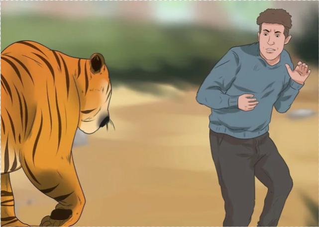 遇见老虎该如何逃生,与老虎狭路相逢怎么办