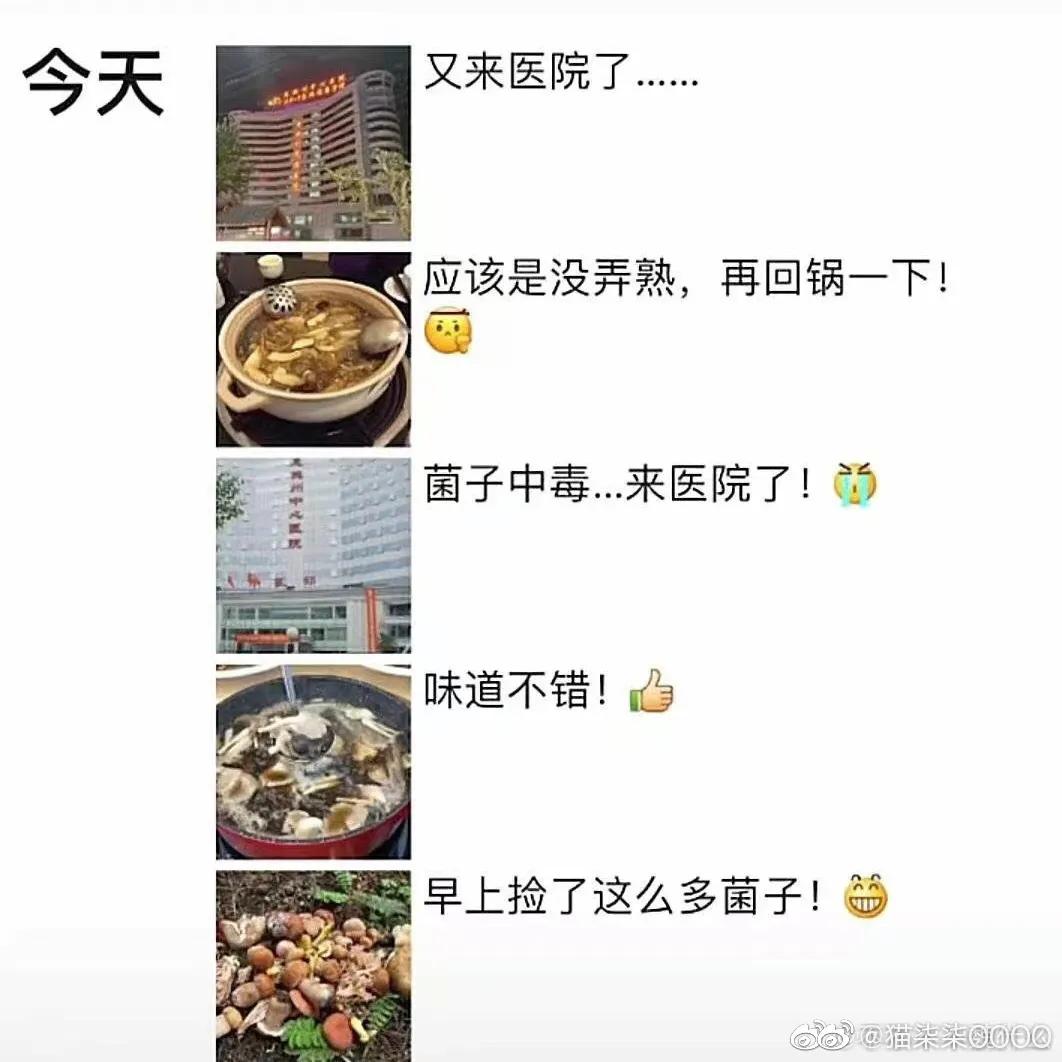 直男和直女聊天的方式,直男直女的聊天方式太真实了吧