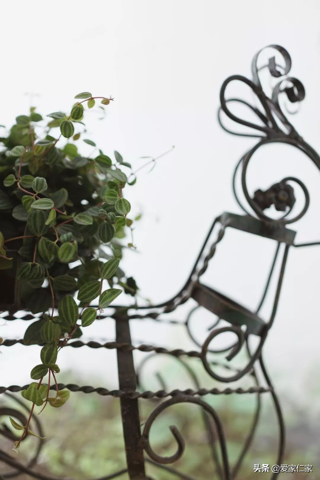 她买下32㎡上海老旧学区房,为女儿打造小桃园,还有超舒适大庭院