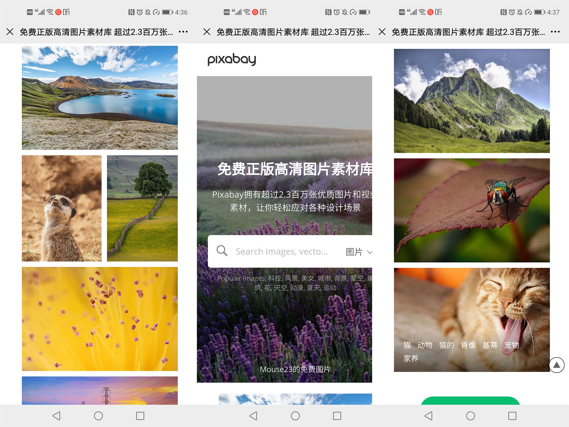 网页链接二维码,网页链接二维码生成器