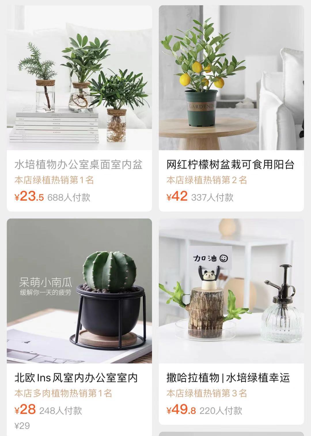 极简风格绿植店铺推荐,适合在卧室养的植物店铺