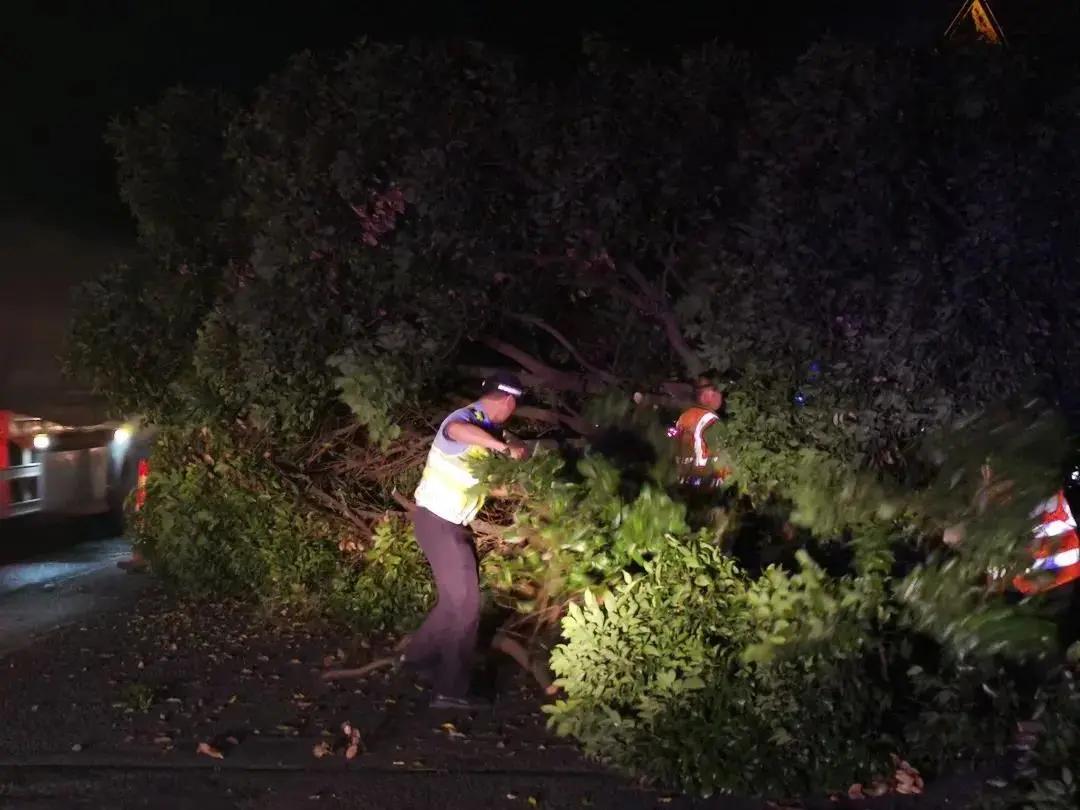 公安机关经济领域打击防范工作,广西公安开展夜间巡逻防控工作