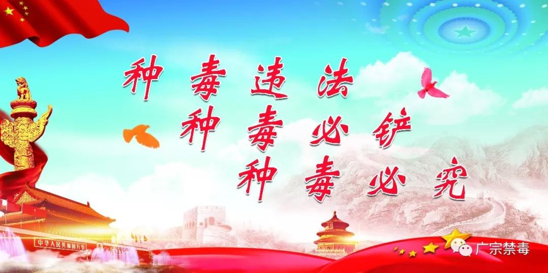 图啥呢?一男子做*品毒**代购不获利,照样受严惩!