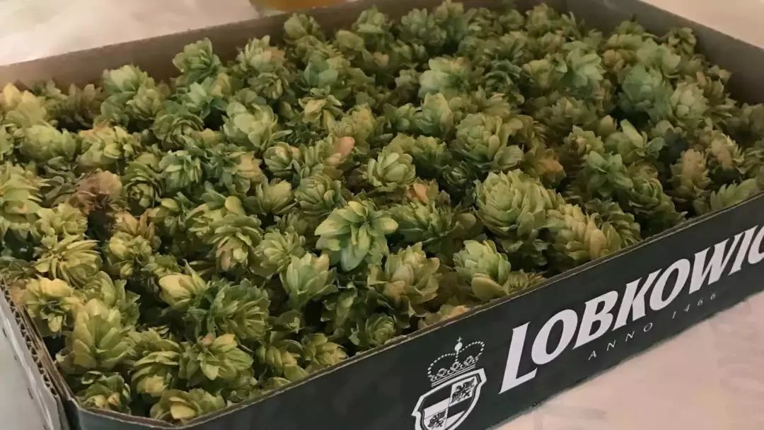 爱不释手的居家好物,春日限定好物推荐