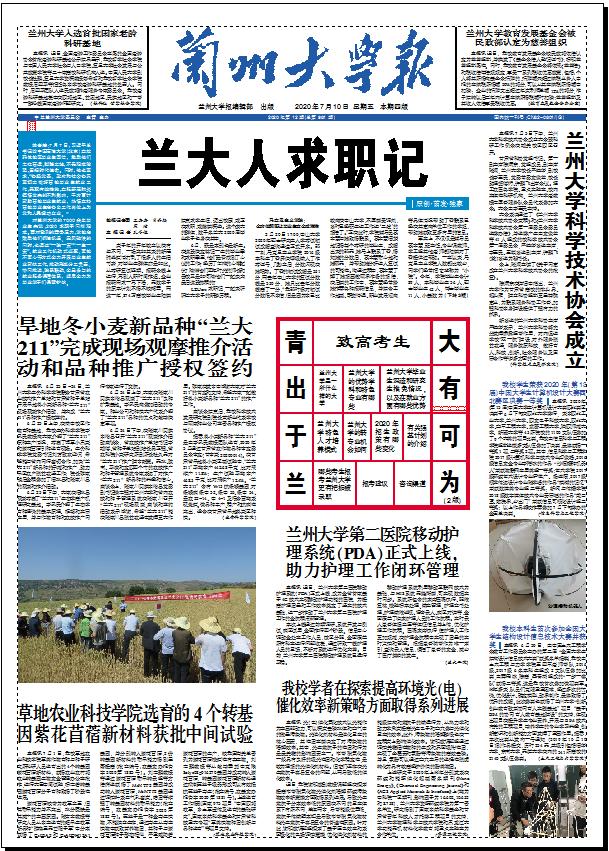 兰大人都是怎么找到工作的？