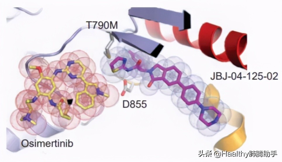 奥希替尼下一代靶向药 (奥希替尼耐药出现广泛进展)