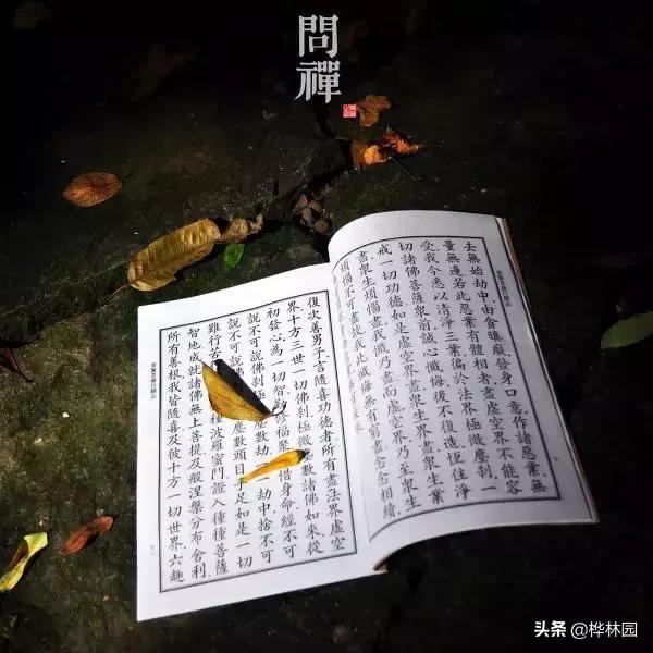 命硬怎么办教你一招改善,命苦怎么改命