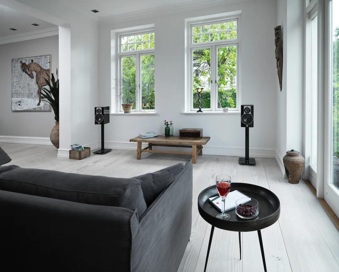 达尼spektor2书架音箱,达尼皇太子书架音箱评测