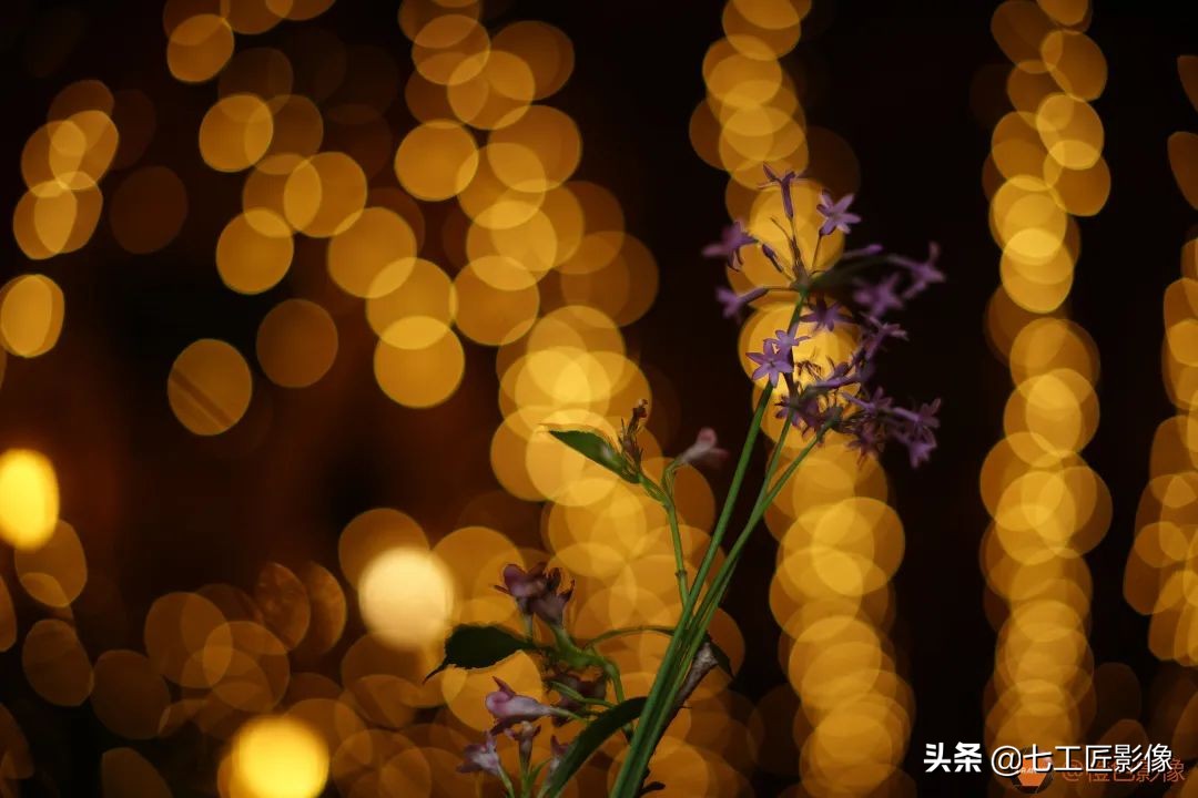 七工匠75mmf1.25夜神人像镜头,七工匠75mmf1.25参数