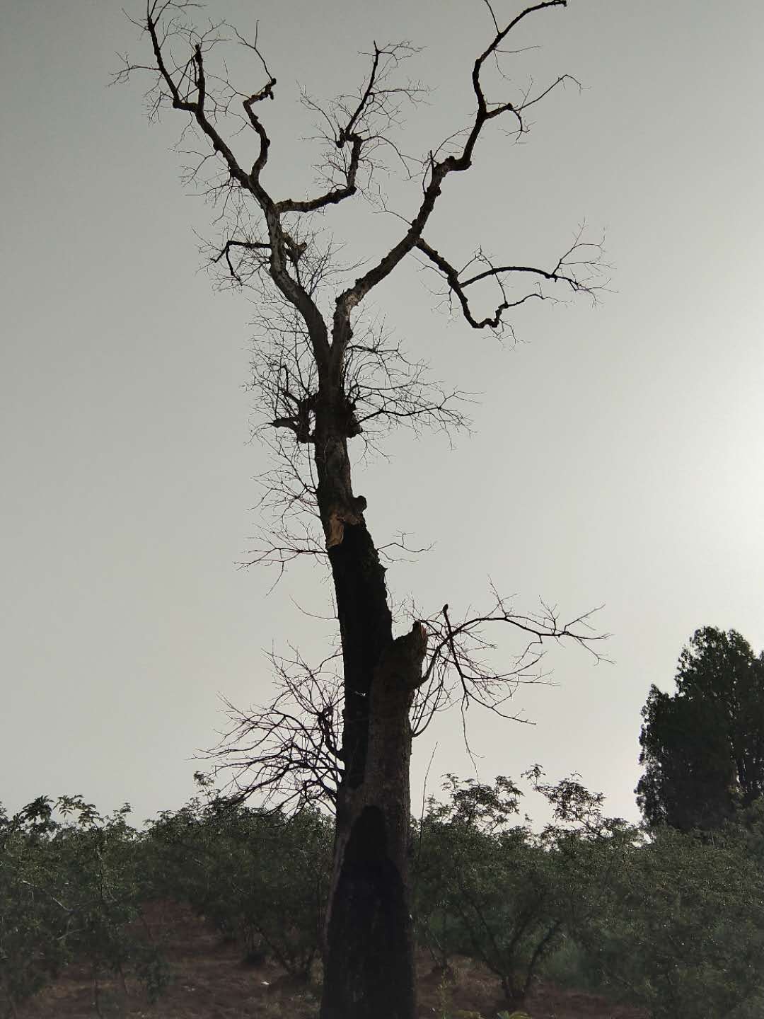 古村故事之七：神堡义寨保太平