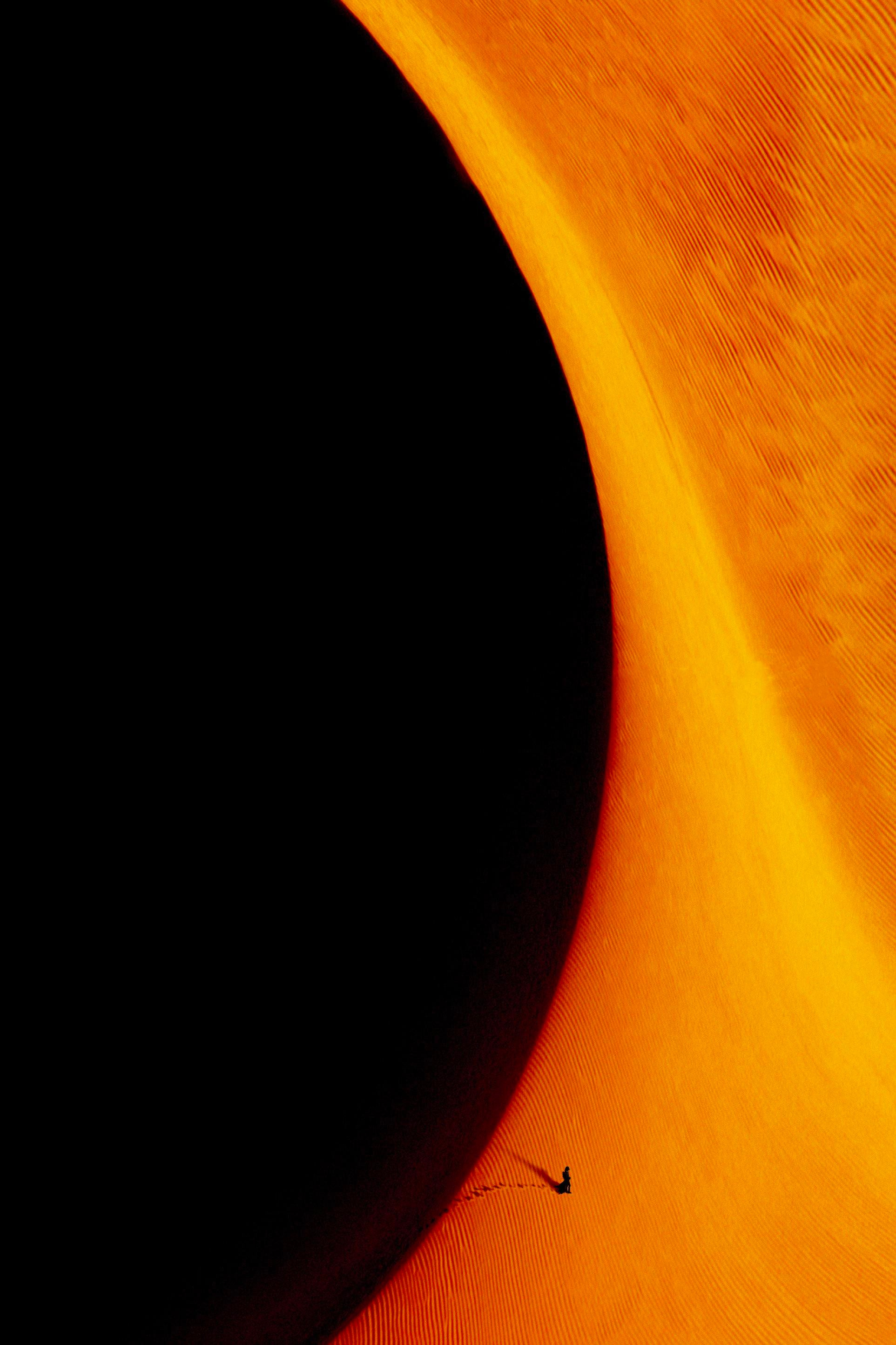 年底仅一部好莱坞大片定档,好莱坞大片即将上映的有哪些