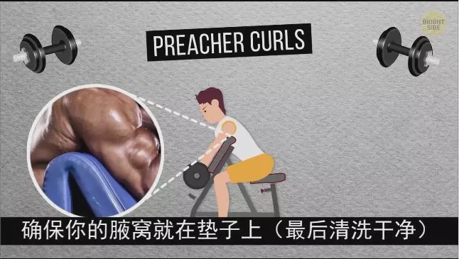 怎么练手臂的肱三头,怎么才能练出手臂的肱三头肌