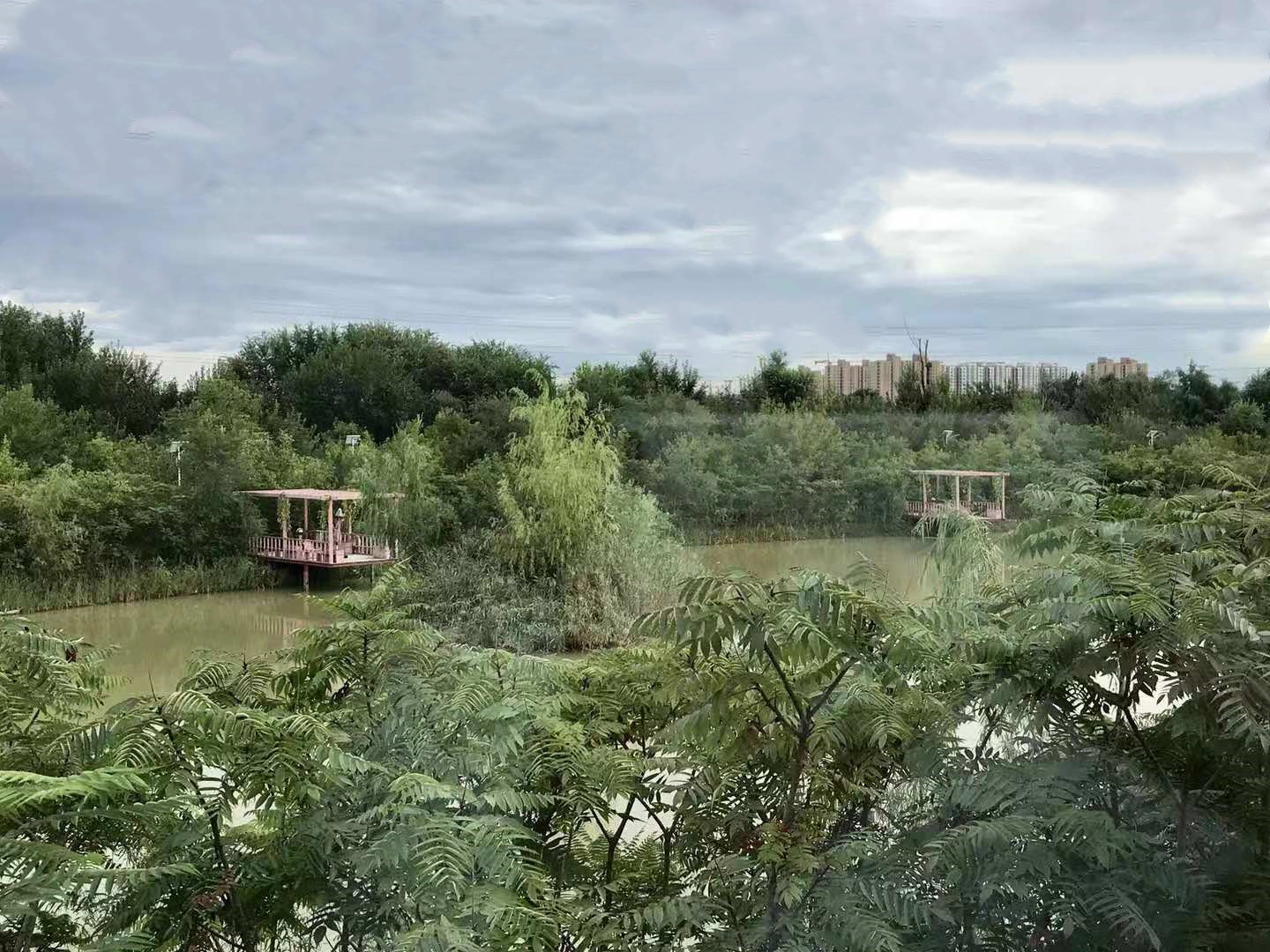 日日新小学怎么样,为什么小学要换班