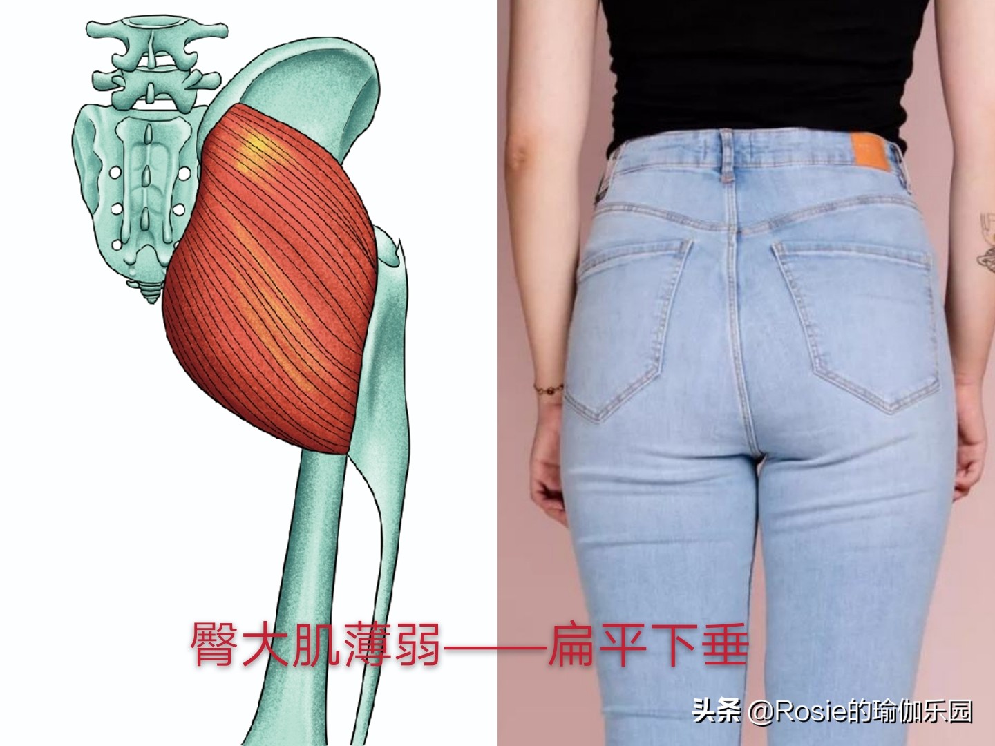 练出马甲线和小蛮腰和漫画腿,练出漂亮的马甲线英文