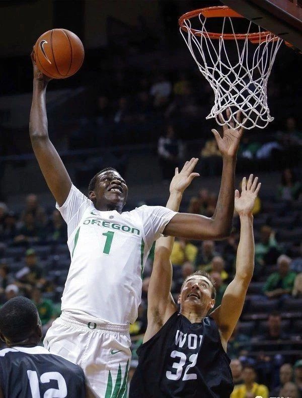 身高2米以上的巨兽,身高2.2米可以打篮球