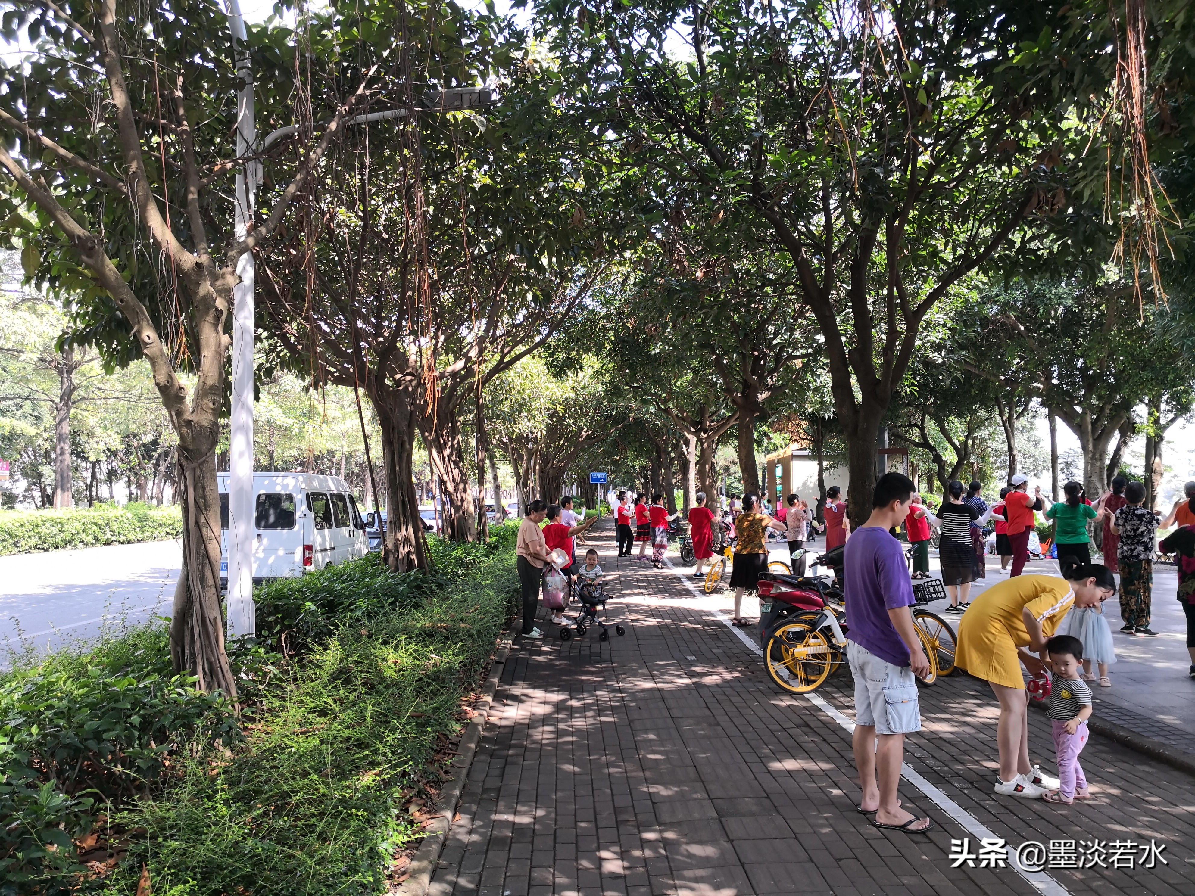 南宁最有发展潜力的镇,南宁市哪个县有发展潜力