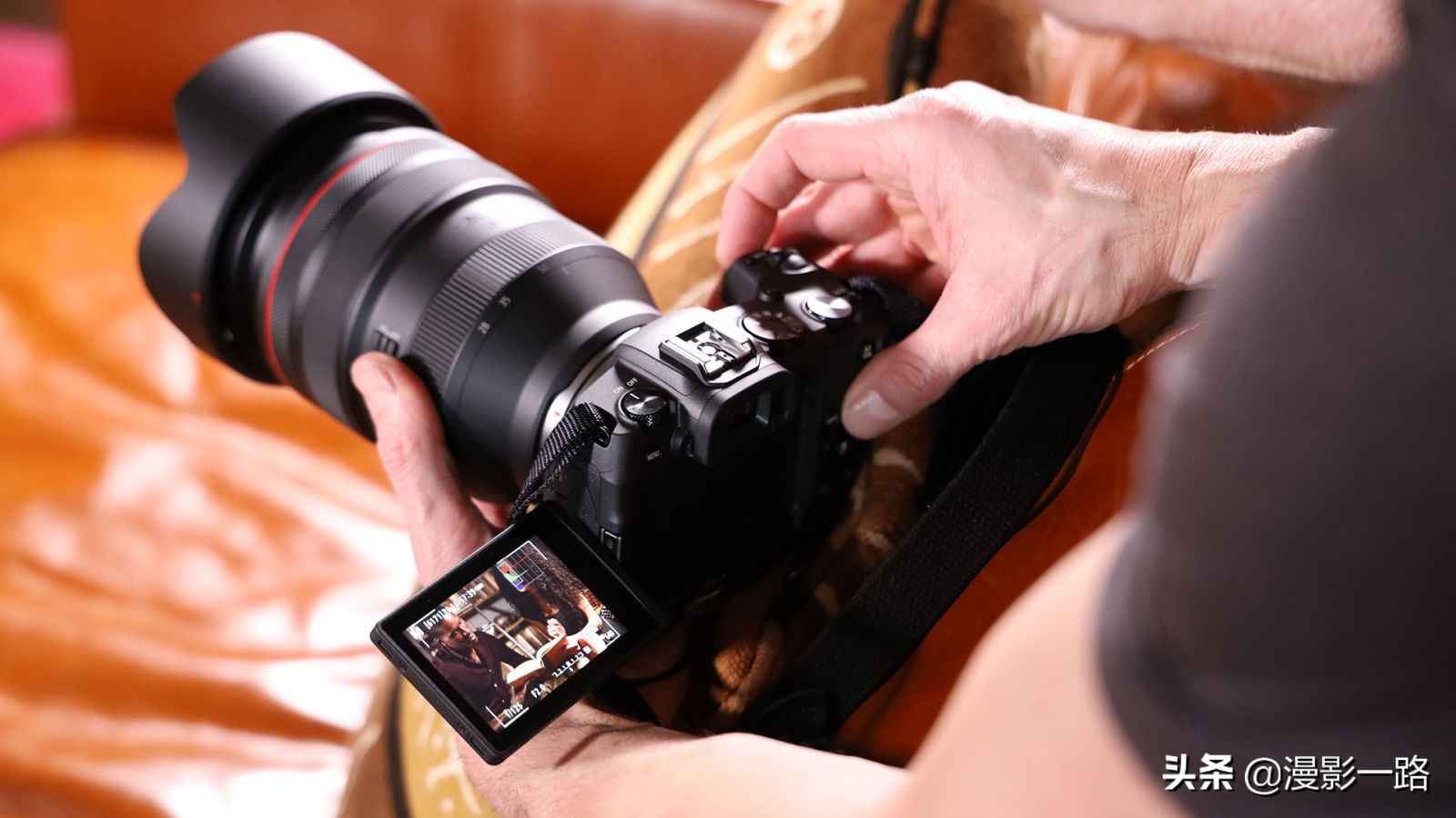 佳能全幅微单eosr可以拍鸟吗,佳能全画幅eosrp