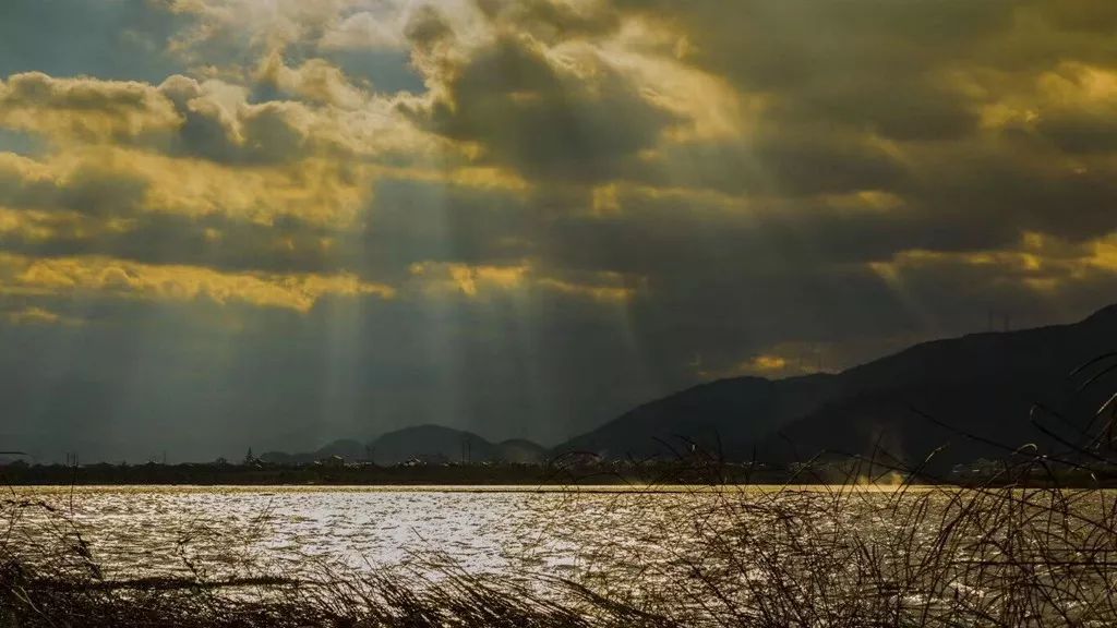 幸福道路越走越宽,幸福道路越走越宽阔