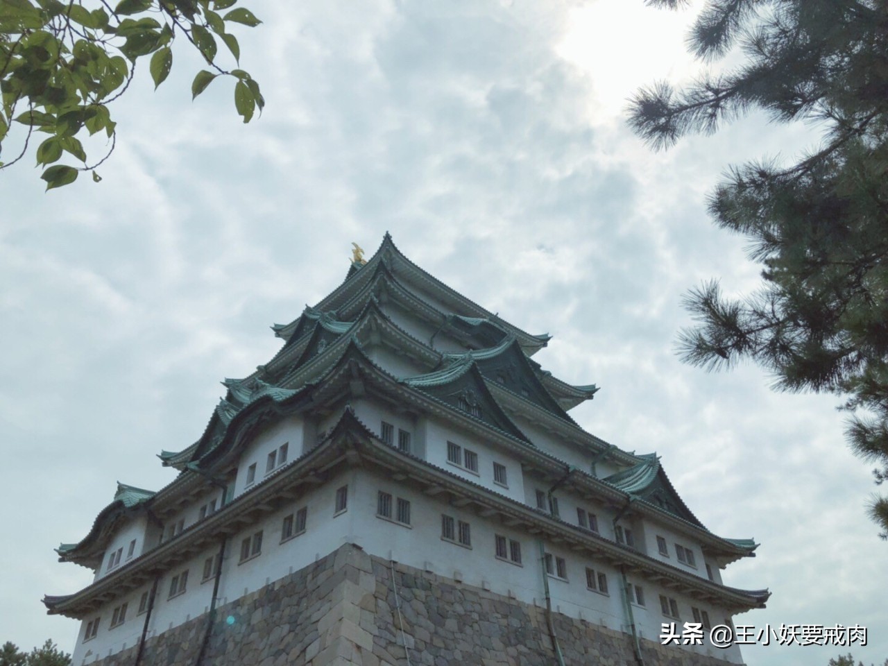 日本自由行攻略7天旅游,日本自由行攻略十大必去景点