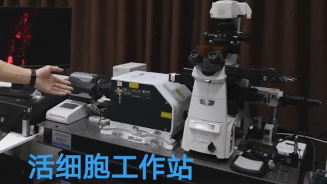 中科院大连化物所,中科院大连化物所历史成就