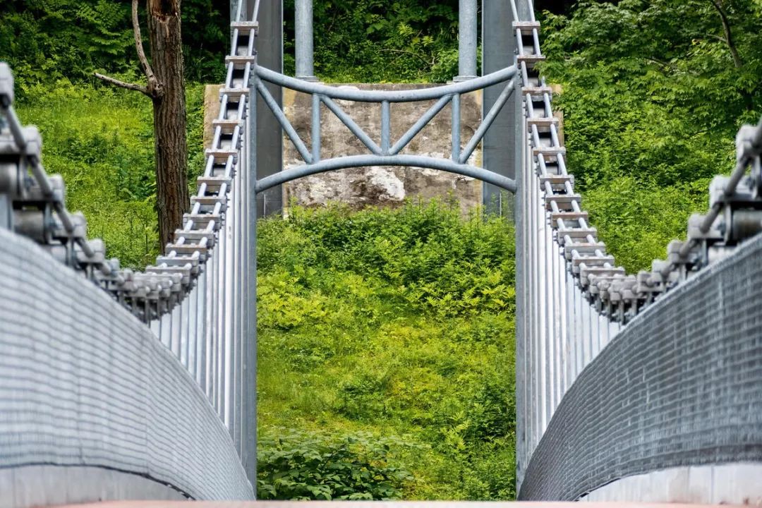 值得新手入门的徕卡相机,目前最值得入手的徕卡相机