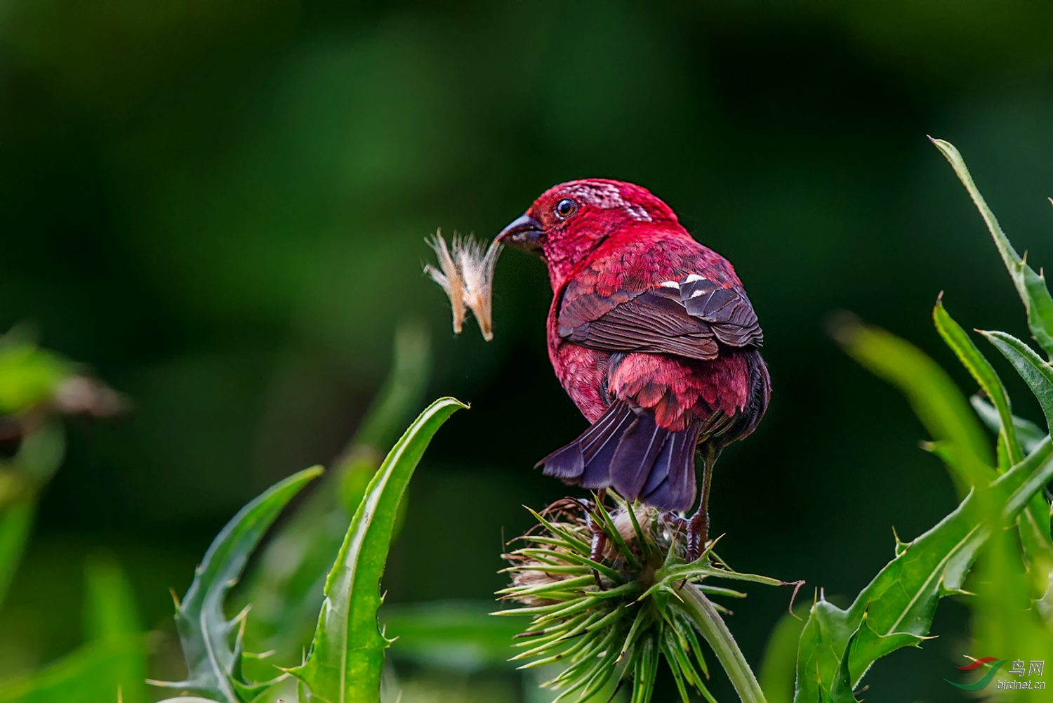 拥有这“二多二少”，你就是个幸福的人