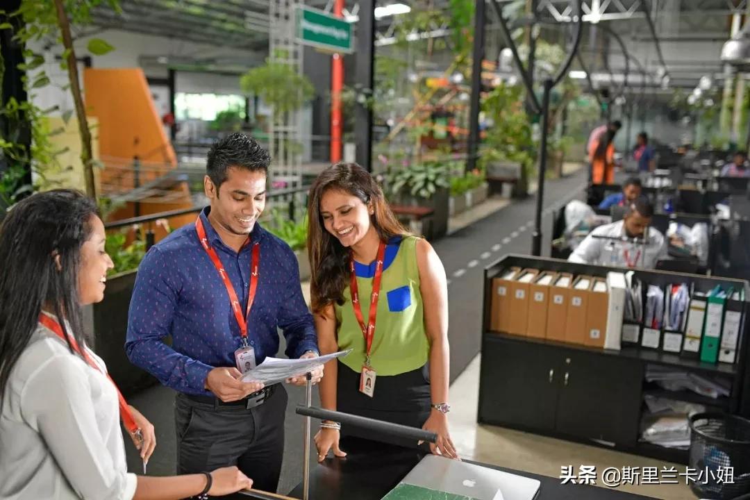 一个从女士内衣说起的故事：不为人知的“小国家，大行业”