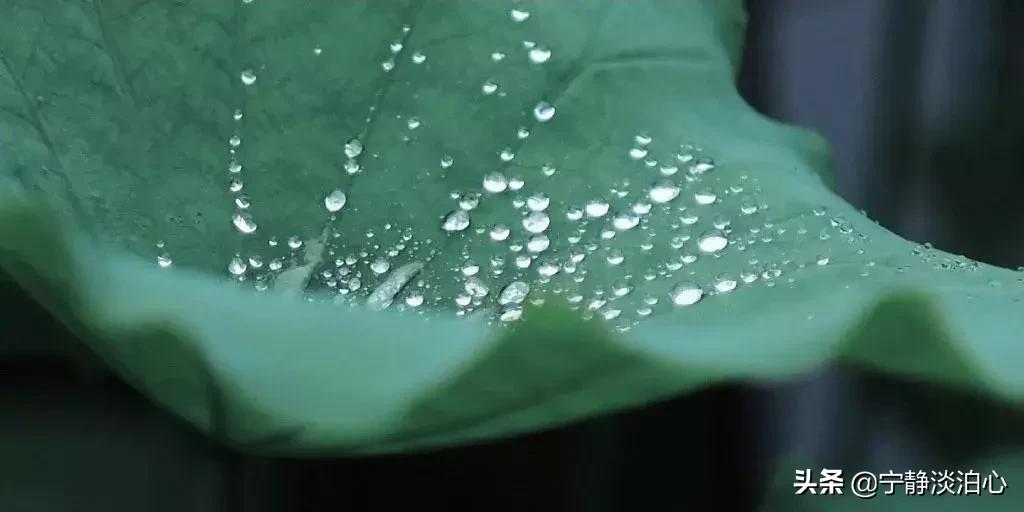 一日慎独则心安日日精进,日日精进人生