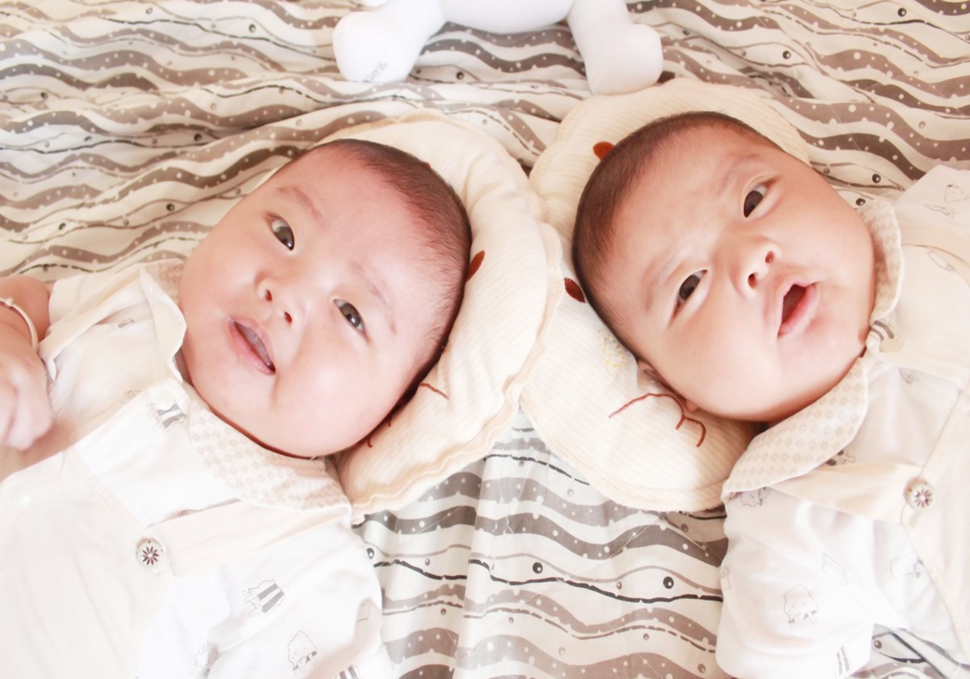 两胎都是双胞胎的几率有多大,双胞胎为什么降生