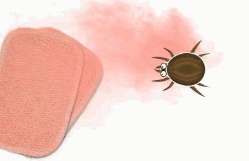 从床上吸出来的白色粉末是螨虫吗,生活窍门床单上的螨虫放大1000倍