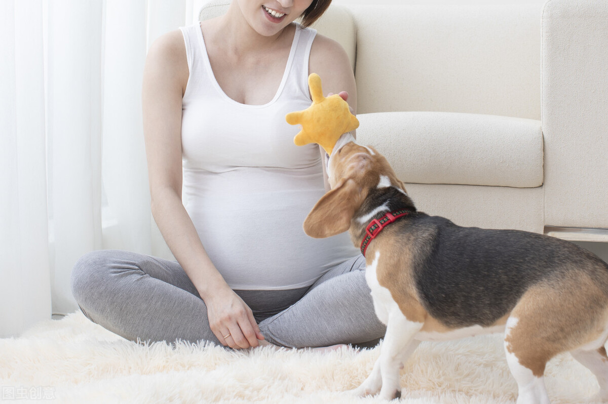 孕期抑郁自愈最快的方法,孕期抑郁怎么调节缓解心情