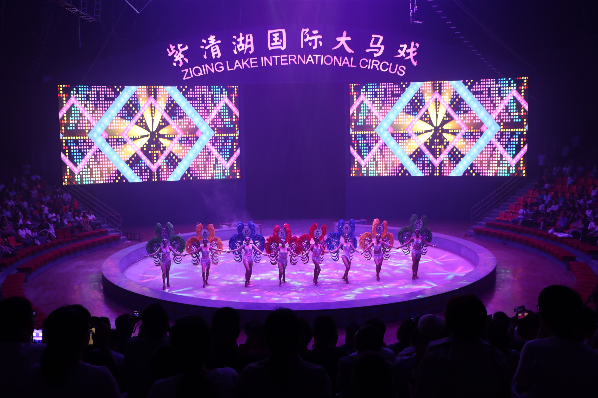 紫清湖森林温泉,紫清湖温泉免费