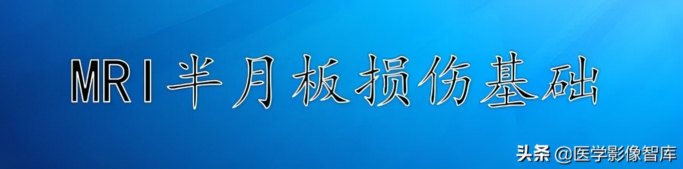 膝关节半月板损伤的解剖结构图,半月板mri解剖图解