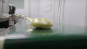 厉害了！汉中面皮一个月卖了60万袋