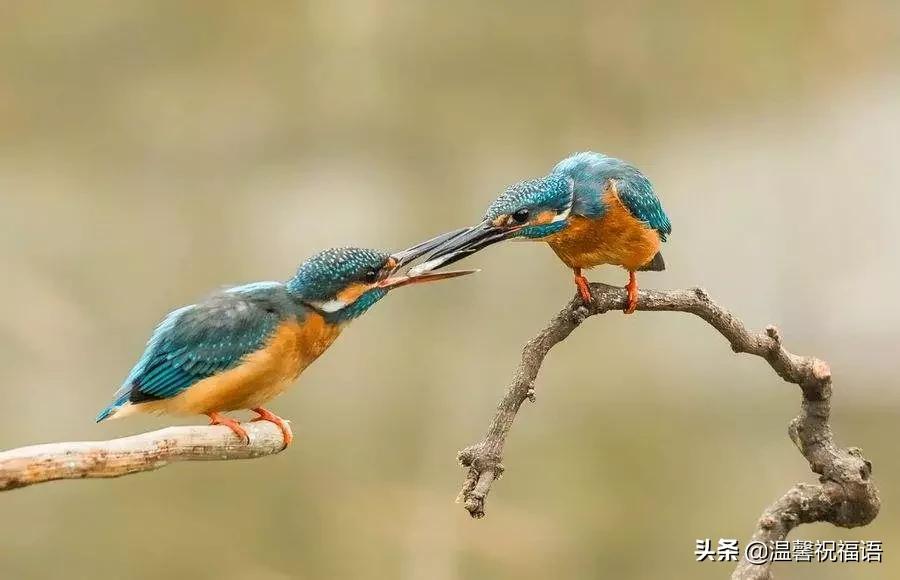 今天3月10，我的妈呀！谁编的，太好笑了，给群里乐一乐