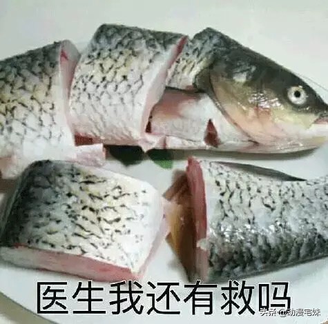 假期在家被爸妈骂了怎么办,满口脏话的父母很反感怎么办