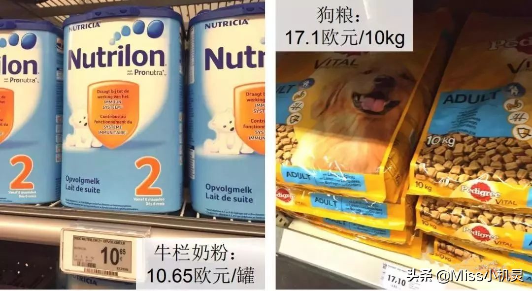 移民到比利时的原因有哪些,移民比利时的利弊